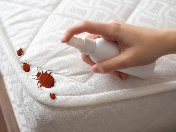 Best Mosquito Control Services  in Clear Lake, WA